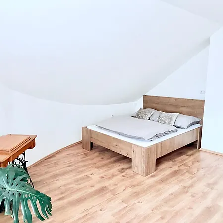 Chaloupka Apartment Hlucin